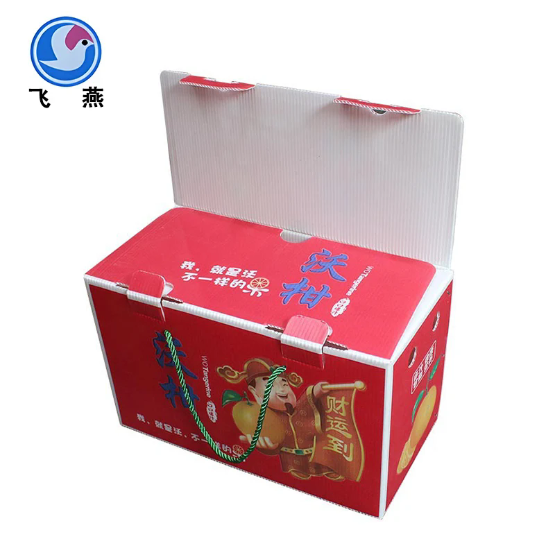 Sugar Orange Calcium Plastic Box